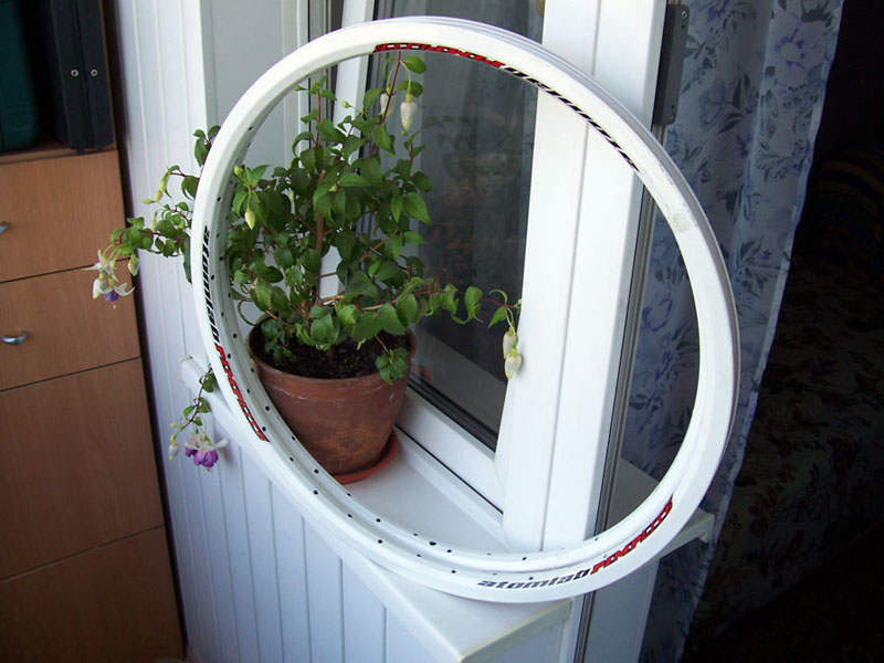 100_9208.JPG