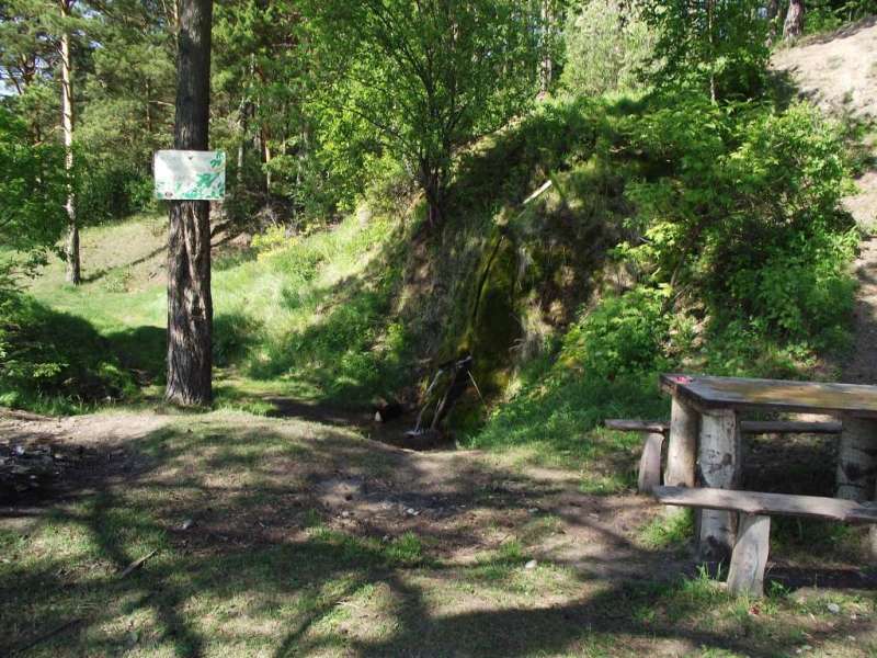 IMG 140.jpg