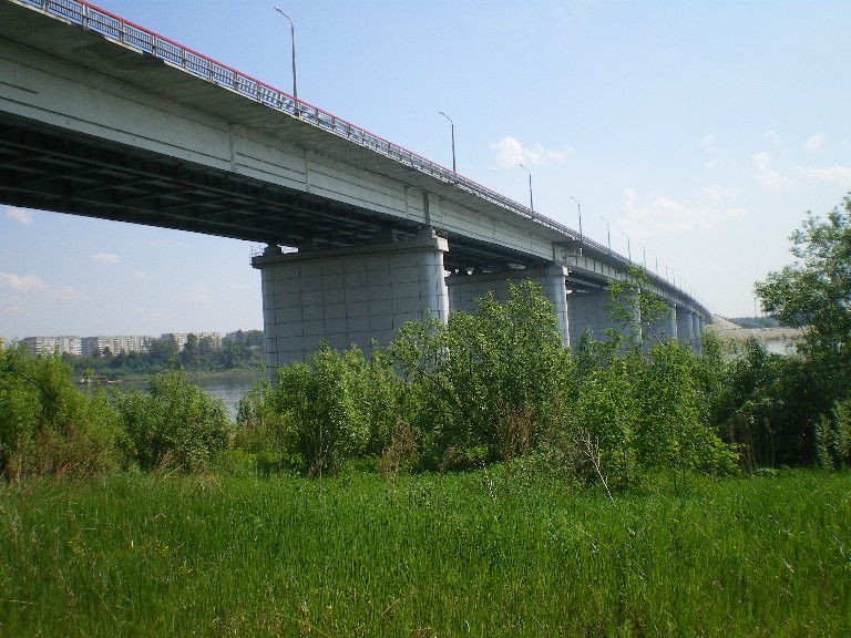 13. Красавец