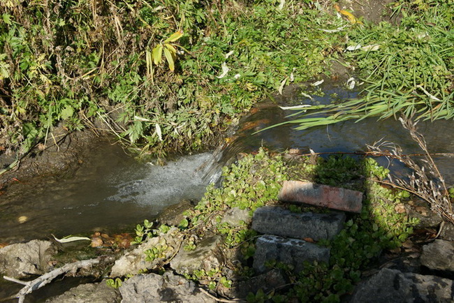 2011.10.01_079.jpg