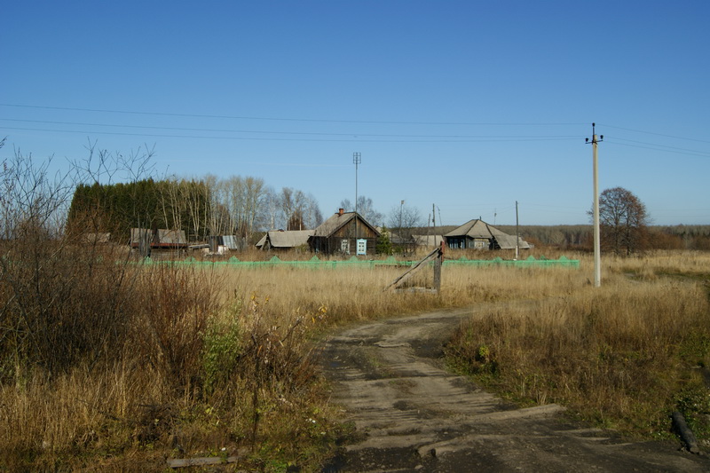 05.jpg