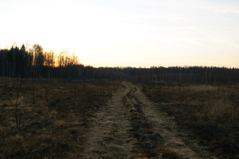 49.jpg
