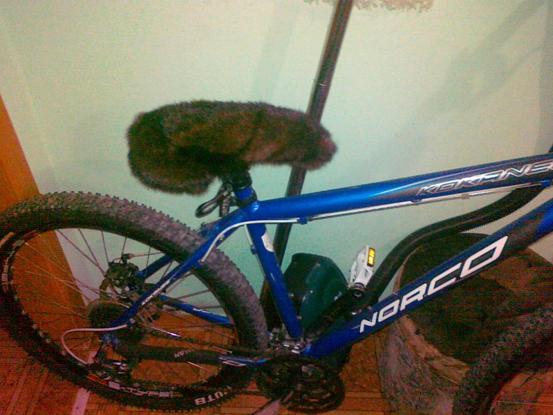 091220111257.jpg