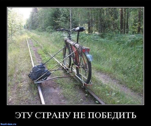 y_c415f19f.jpg