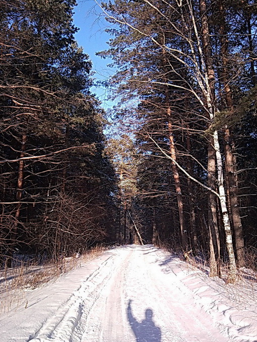 SNC00146.jpg
