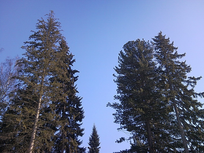 SNC00057.jpg