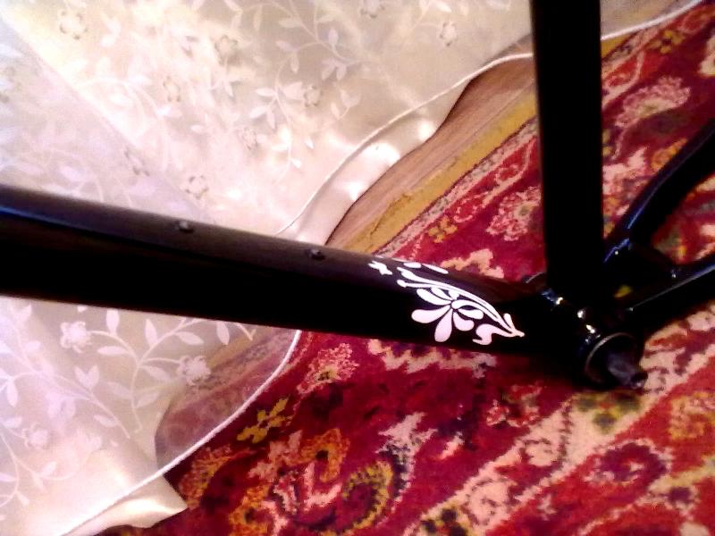 15032012597.jpg