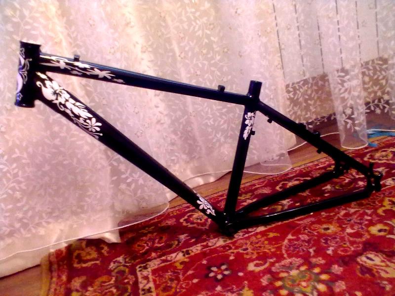 15032012598.jpg