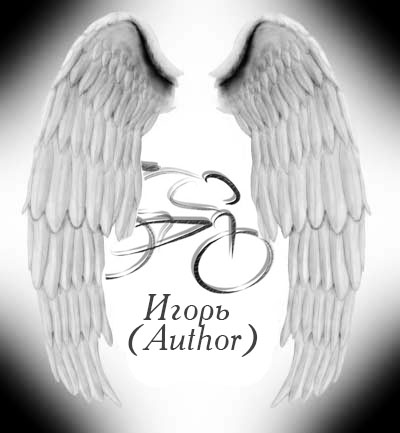 1235835041_angel-wings.jpg