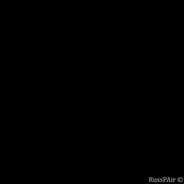 79720253.gif