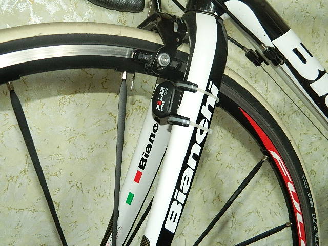 DSCN3695.JPG