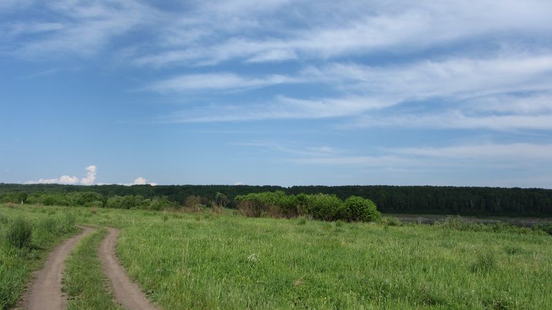 IMG_2429.JPG