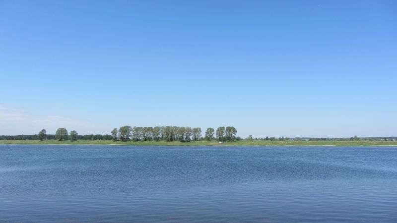 IMG_2372.JPG