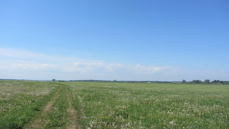 IMG_2358.JPG