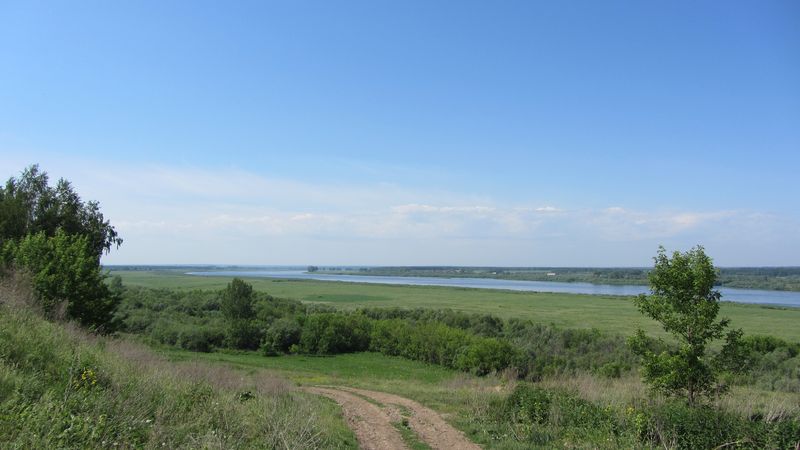 IMG_2355.JPG