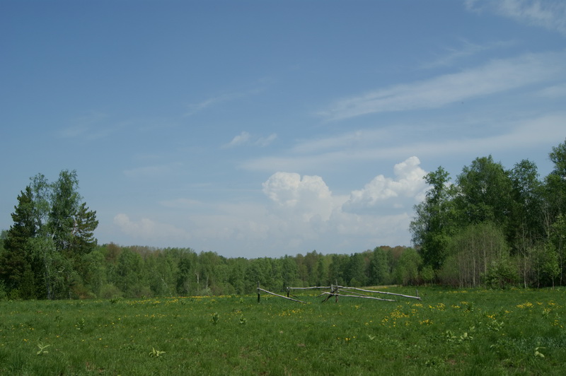 09.jpg