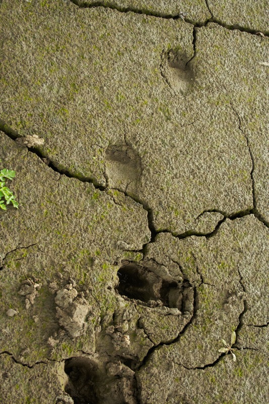 Раскалы 2012 4.jpg