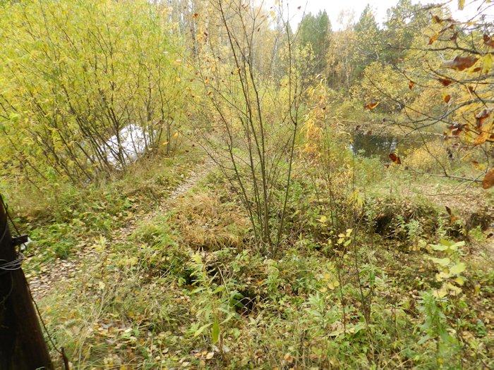 Файл 00207.jpg