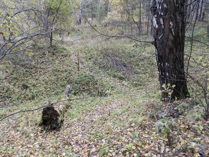 Файл 00202.jpg