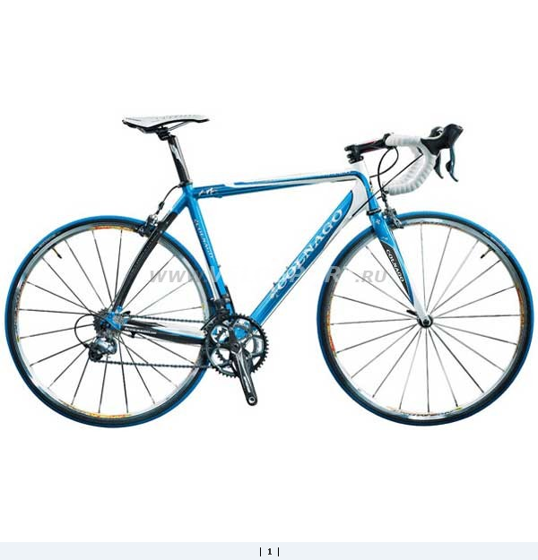 colnago_arte2.png