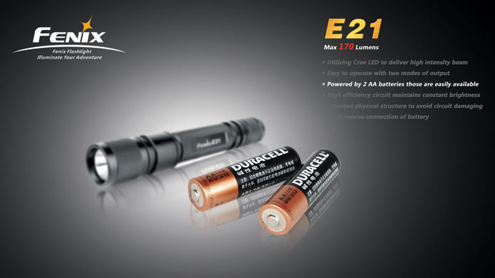 e21_2.jpg