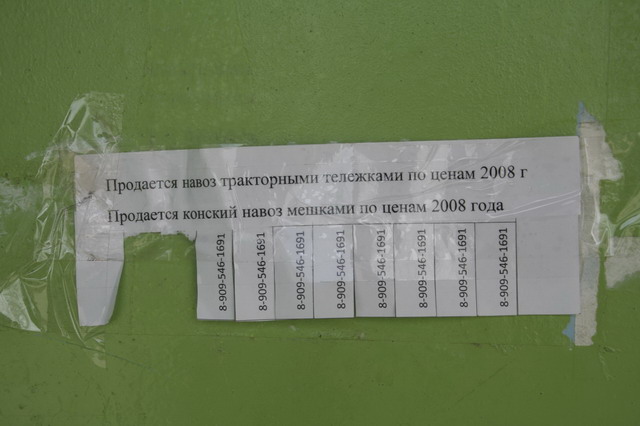 _MG_6032.JPG