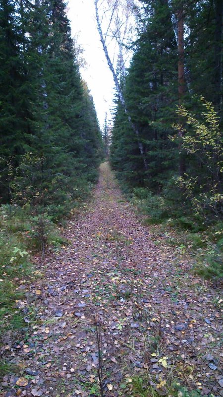 Image00007.jpg