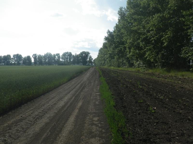 Img002.jpg