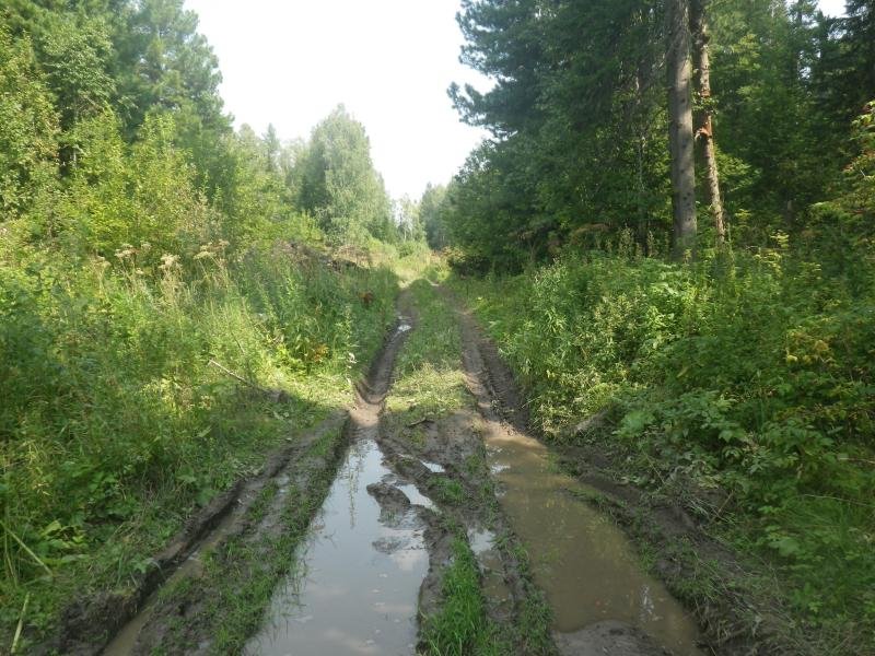 Дорога на ур. Конёво