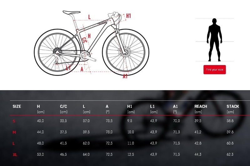 wilier 501 GEOMETRICA.jpg