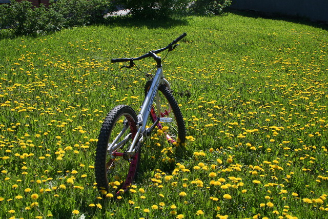 image 047_resize.jpg