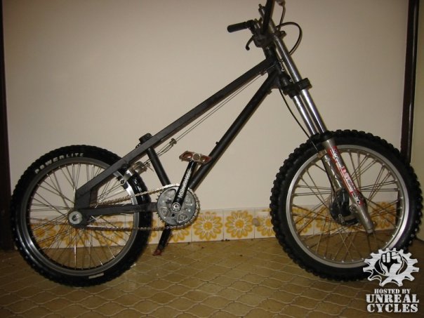 x_b5f38104.jpg
