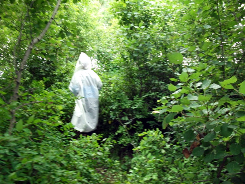 DSCF0589.jpg