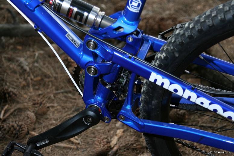 mongoose-teocali.jpg