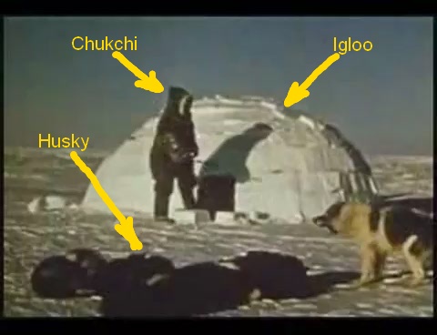 real_igloo.JPG