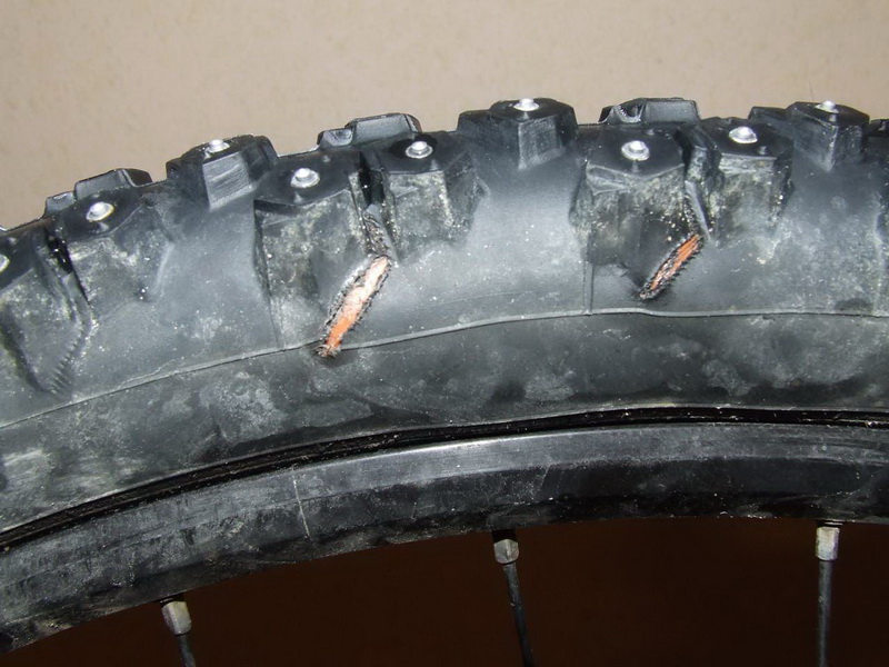 DSCF5533_.jpg